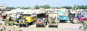 Tractor-trailers laden with cotton queue up in front of the Fazilka cotton yard.