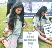 PETA activists shackle themselves in chains in a protest on the eve of Animal Rights Day at Vijay Chowk in New Delhi on Friday.