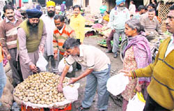 Farmers distribute potatoes free of cost in Jalandhar