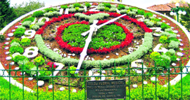 A file photo of a floral clock that is expected to be replicated near Sherpur Chowk in Ludhiana.