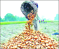 Farmers from the Doaba region have threatened to come on the roads on December 15.