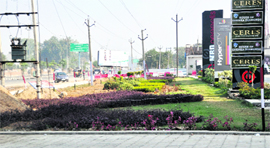 The service lane which has been converted into a green belt by MBD Neopolis in Ludhiana.