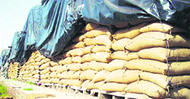 Paddy stock lays at a rice mill near Jagraon.