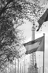 The Palestinian flag, with the Eiffel Tower in the background, is raised for the first time at the 