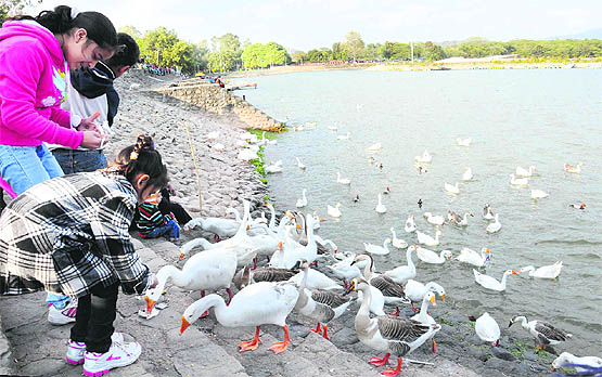 Bird lovers: Girls enjoying an evening with ducks at the Sukhna Lake in Chandigarh.