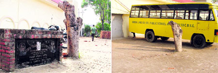 A foundation stone, which was erected in front of Green Land Senior Secondary School near the Jalandhar bypass, was there till October 27 but went missing on Wednesday