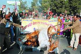Members of the district unit of the Punjab State Pharmacists Association burn the effigy of the Punjab Government in Bathinda on Thursday.