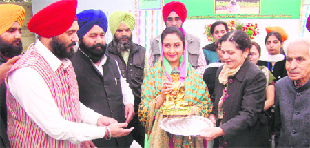 As Bathinda MP Harsimrat Kaur Badal was being presented an idol of Lord Buddha during a college function to promote Nanhi Chaan in Ferozepur on Thursday, a few kilometres away in Talwandi Bhai subdivision, a female foetus was found in a garbage dump. Photo: Anirudh Gupta