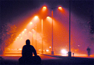 Commuters drive amid fog at Sector 55 in Chandigarh on Sunday