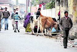A view of a road in in Ward No. 43, Dehradun