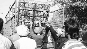 Officials of the municipal council load confiscated goods during an anti-encroachment drive in Mohali on Monday.