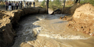 Breach in the Malukpura sub-canal in Abohar sub-division has destroyed crops in hundreds of acres as water inundated the area on Thursday. 