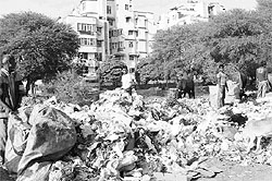 Garbage dumped on the road separating Sectors 69 and 70