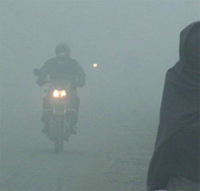 Thick fog makes life difficult for commuters in Jalandhar on Thursday. 