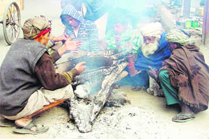 A few poor persons burn wood to keep themelves warm near the Mata Rani Chowk in Ludhiana on Thursday. 
