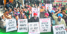 Doctors stage a dharna in support of their demands at the Department of Health, Punjab, at Sector 34, Chandigarh, on Friday.