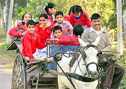 Students commute on a horse cart in RS Pura
