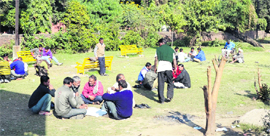 A group of people plays cards in a garden in Ludhiana.