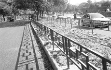 The road separating Phases IV and V beautified by the municipal council. 
