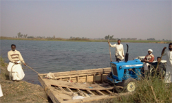 Farmers of village Chandiwala tranporting a tractor in the bera to their fields across the Sutlej in Ferozepur. 
