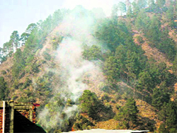 A fire in the Bannu forest in the suburbs of Chamba town on Tuesday.