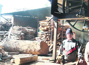 Ram Lal, a panch from ward number 3 of the Khandwal panchayat constituency at a sawmill near Jewel Chowk, in Jammu on Tuesday. Tribune photo: Inderjeet Singh