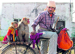 Though the art is dying, a man ekes out a living by showing monkey tricks near Jagraon