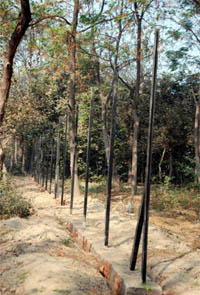 Work on creating separate segments in the 115 acre area is in progress.