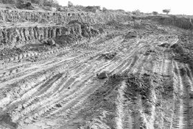Heavy vehicle tracks at the Tangri riverbed near Ambala Cantonment.