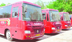 A file photo of a fleet of CTU buses.