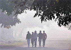 A thick blanket of fog reduced the visibility in Ludhiana on Saturday