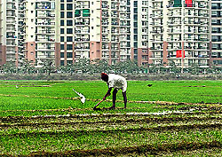 A farmer works in a field against the backdrop of residential apartments undergoing construction in Noida on Sunday. India's infrastructure sector output grew 6.8 per cent in November 2011, from a year earlier, sharply higher than the annual growth of 3.7 per cent in the same month in 2010