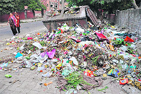 Garbage strewn in Sector 25, Chandigarh.