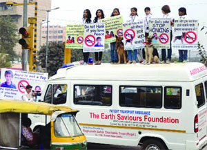 Volunteers of the Earth Saviours Foundation carry hoardings at the ITO crossing to urge drivers to stop unnecessary honking, in New Delhi on Sunday. 