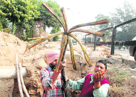 Expensive cable was stolen from an underground chamber in Phase I of Mohali on Sunday. 