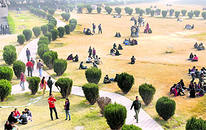 Students make the most of the sun during lunch time near AC Joshi Library, Panjab University, Chandigarh, on Tuesday