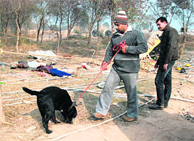 A dog squad inspects the spot where the bodies of two watchmen were found at Khatauli village in Barwala, Panchkula, on Thursday.