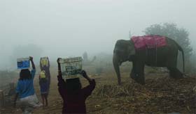 A cold and foggy morning in New Delhi on Thursday