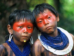 In addition to analysing DNA from about 4,25,000 members of the public, the Genographic Project has so far taken about 75,000 DNA samples from indigenous tribes around the world 