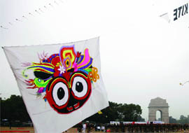 A kite flies on the India Gate lawns in New Delhi where more than 300 kite fliers from 13 countries gathered on Saturday during a preview of the upcoming 22nd International Kite Festival scheduled to happen in Ahmedabad. 