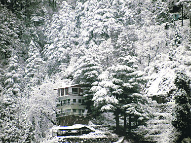 A hill covered with the seasons first snowfall in Mussoorie on Saturday.