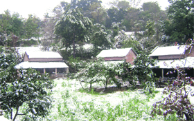 The border belts of Punjab that share boundary with Himachal Pradesh witnessed heavy snowfall on Saturday morning. This is for the first time that dozens of Punjab villages, falling in the lower Shivalik Hills, witnessed snowfall. Though it brought smiles on the faces of residents, farmers were disappointed as snow took toll on their crops.