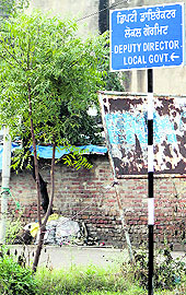 After Jalandhar Tribune carried a report in these columns regarding the problem to voters in locating the office of returning officer of the Jalandhar North constituency-cum-Deputy Director, Local Bodies, in a residence in Master Tara Singh Nagar, the MC has erected a signboard for residents convenience in Jalandhar