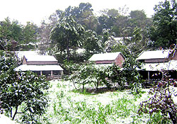 The border belts of Punjab that share boundary with Himachal Pradesh witnessed heavy snowfall on Saturday morning. This is for the first time that dozens of Punjab villages, falling in the lower Shivalik Hills, witnessed snow. Vehicles moved at a snails pace. While the snowfall brought smiles to residents, farmers were disappointed as the snow damaged their crops
