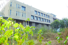  Wild growth outside the Civil Hospital speaks volume about the prevailing state of affairs.