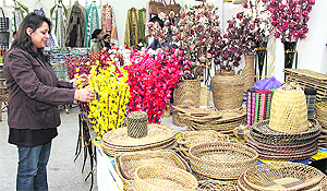 The art and craft exhibition put up by North Eastern Handicrafts and Handlooms Development Corporation at Virsa Vihar has drawn quite a crowd. Tribune photo: Sarabjit Singh