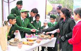 Students of Delhi Public School display eco-friendly products in Ludhiana. 