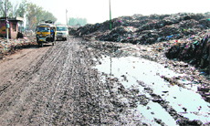 Garbage from the dump yard spills over on to the road at Bhaktanwala in Amritsar.