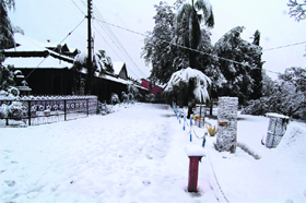 A view of the Dharamsala college after snow where Bollywood filmstar Dev Anand and singer Mohit Chauhan studied.
