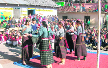 Students of Government Senior Secondary School, Lohtikri, present a folk dance at the annual function. 